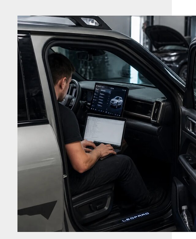 Русификация BYD Leopard 3 в Славгороде по цене от 20698 р. | ФастМобиль-Слд